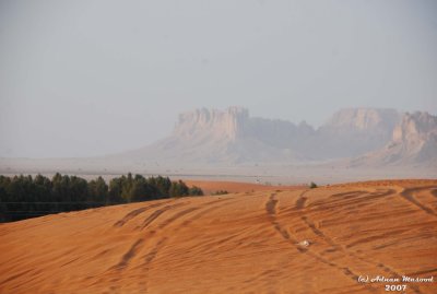38- Desert View.JPG