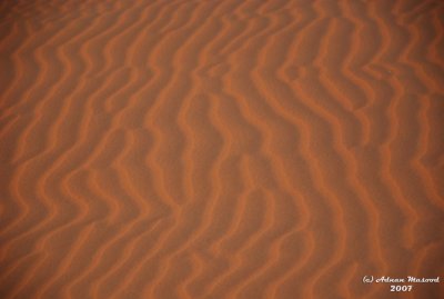 44- Sand Patterns.JPG