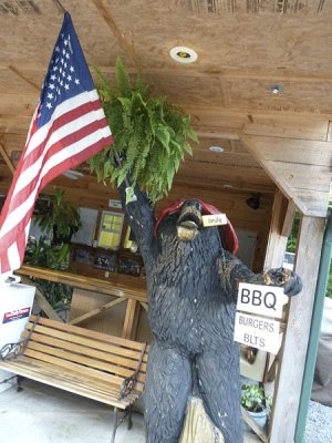 068 Goin' to Carolina 2011.JPG