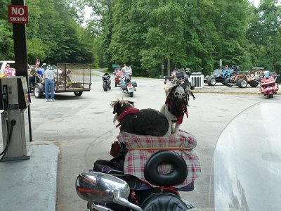 104 Goin' to Carolina 2011.JPG
