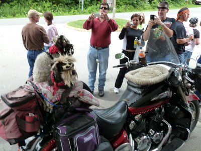 105 Goin' to Carolina 2011.JPG