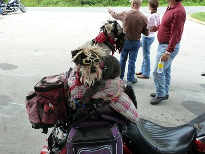 106 Goin' to Carolina 2011.JPG