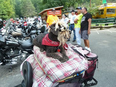 114 Goin' to Carolina 2011.JPG
