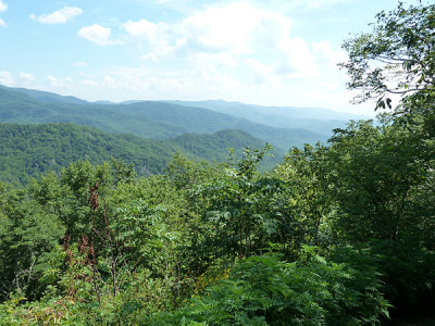 134 Goin' to Carolina 2011.JPG