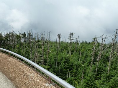 167 Goin' to Carolina 2011.JPG