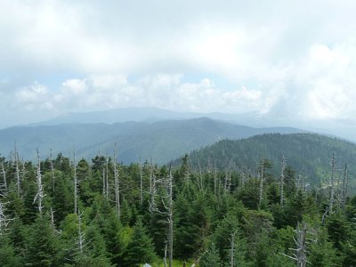 177 Goin' to Carolina 2011.JPG