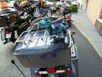 258 Goin' to Carolina 2011.JPG