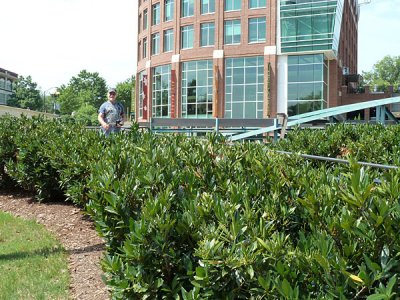 352 Goin' to Carolina 2011.JPG