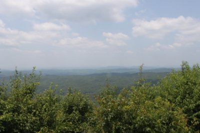 IMG_6406.jpeg