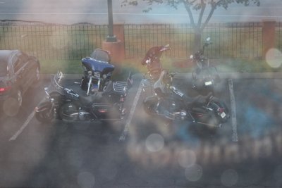 IMG_6548.jpeg