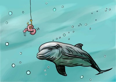 Dolphin