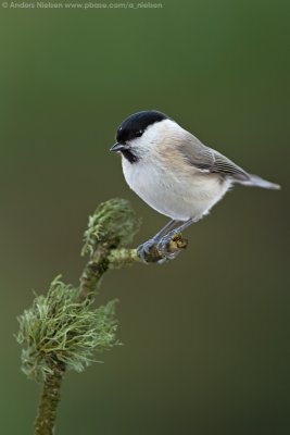 _MG_6608.jpg