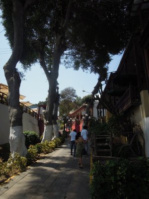 DSCN1440.JPG