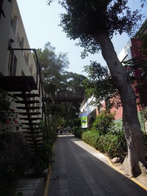 DSCN1444.JPG
