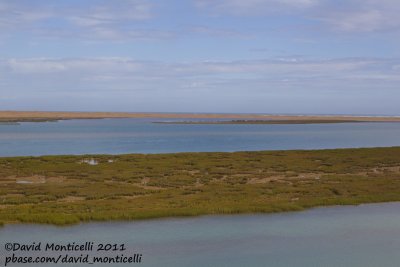 View of Khniffiss Lagoon (Western Sahara)