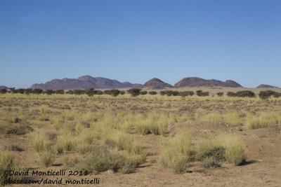 View of Oued Jenna, Aousserd area (Western Sahara)