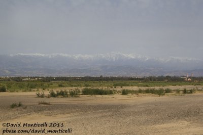 View of Atlas mountains