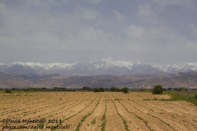 View of Atlas mountains