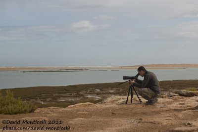 Morroco (Khniffiss lagoon) - Vincent scanning the lagoon for Kelp Gulls