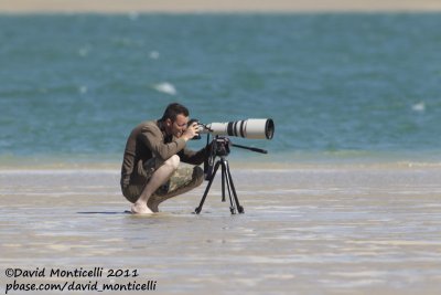 Morroco (Dakhla bay) - Vincent Legrand photographing Royal Terns