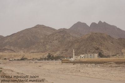 Wadi Feiran, Sina region