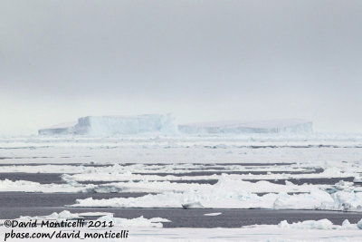 Iceberg_79øN - 10øW between Svalbard - Greenland.jpg