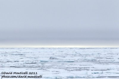Pack ice at 79øN - 0øW.jpg