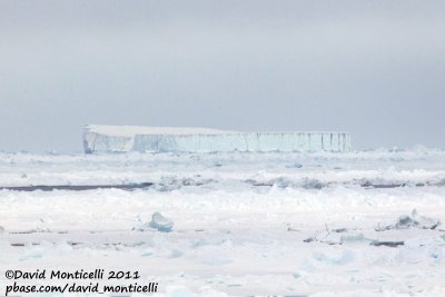 Iceberg at 79N - 7W.jpg