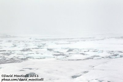 Arctic ocean off Svalbard.jpg