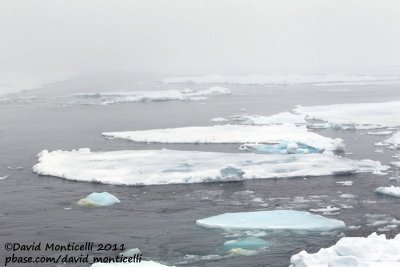 Arctic ocean off Svalbard.jpg