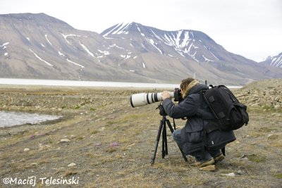 Svalbard - Myself photographing phalaropes