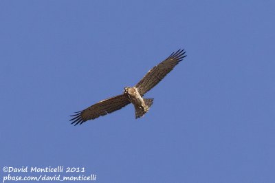 g4/41/943541/3/137102686.sKM6NrYI.jpg