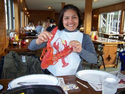 Maine Lobster in Bar Harbor