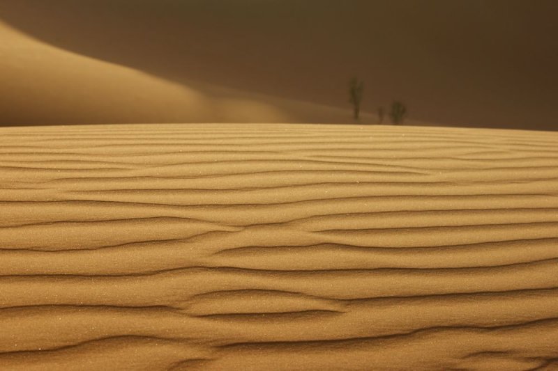 Empty Quarter windripples