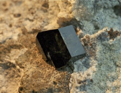 Anatase. Sharp gemmy 7 mm bipyramidal crystal on matrix. Mount Kharan, Balbundi, Baluchistan, Pakistan.