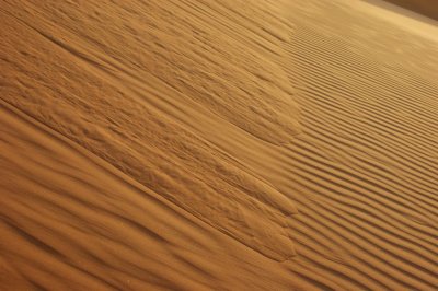 Empty Quarter avalanches and ripples