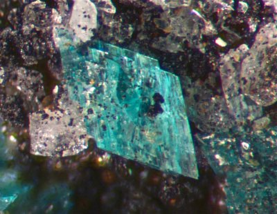 Triclinic turqoise crystals from Lynch Station, Virginia, USA.