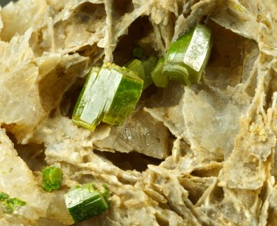 Pyromorphite crystals to 5 mm on 3 cm matrix. Mexico Mine, Roughton Gill, Cumbria.