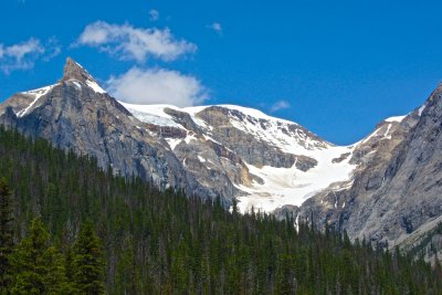 Mountains, glacier and forest