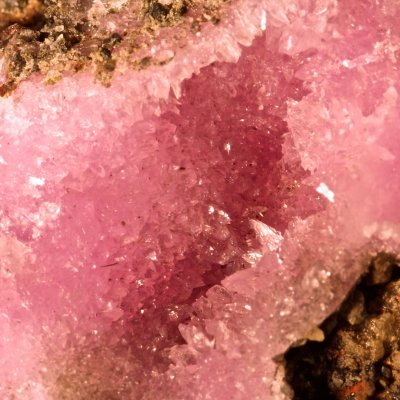 Cobaltoan calcite, 63 mm druse of fine tiny pink scalenohedra. Main Flats, Tynebottom Mine, Garrigill, Cumbria. Found May 1987.