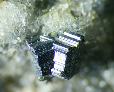 Bournonite twin crystals on 7 cm matrix. Baia Sprie, Romania.