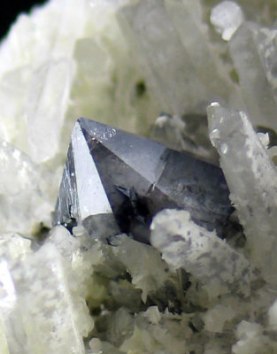 Scheelite in superbly lustrous gem blue crystal on 7 cm matrix of quartz and calcite. Baia Sprie, Romania.