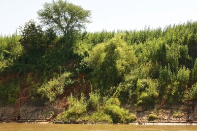 Brazos River outer bend and bank collapse, Brazos Bend