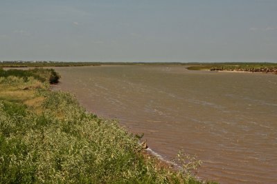 Cone Island oxbow and cutoff