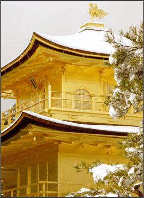  The Golden Pavilion in the snow 2 - Kyoto 