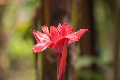 Costa Rica