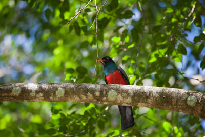 Costa Rica