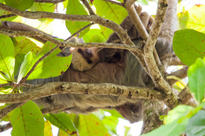 Costa Rica