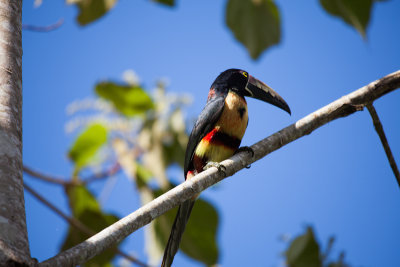 Costa Rica