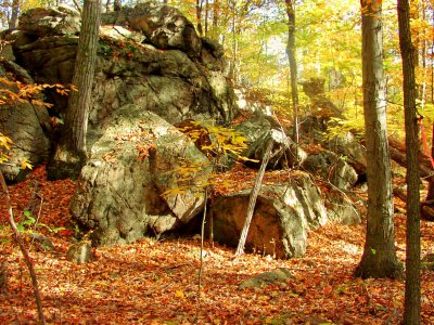 Fall